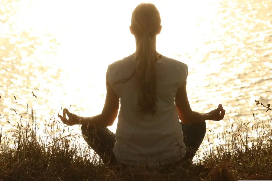 Wellness Seekers