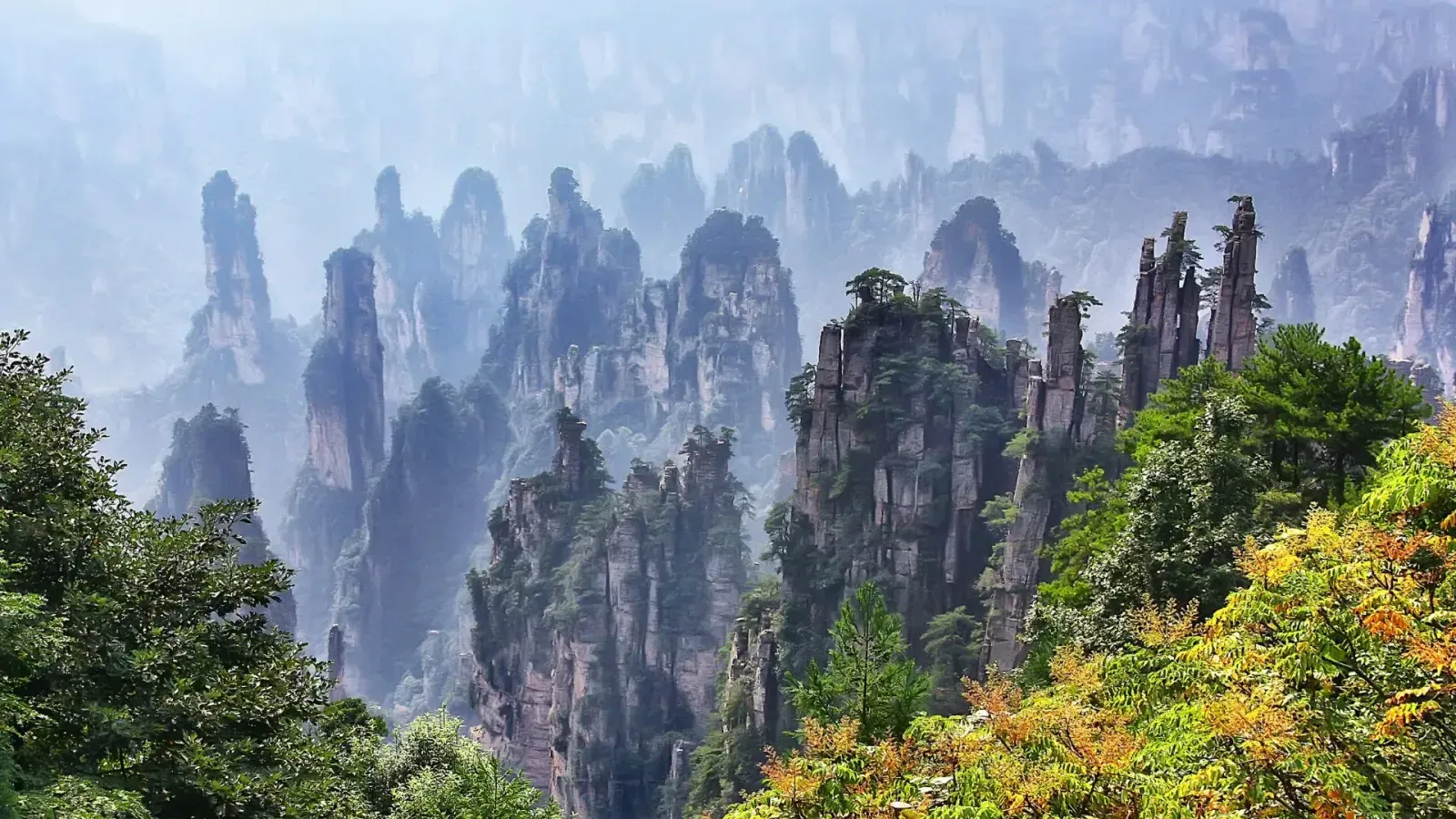Yangtze Delta Ecology Tour